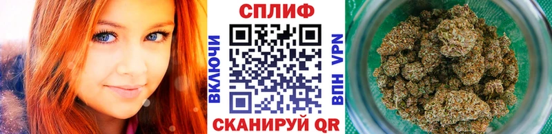 Купить наркотики цена Суздаль Бошки Шишки  МЕФ  СОЛЬ  Codein  ГАШИШ 