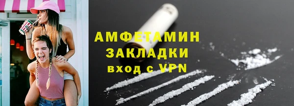 прущие грибы Ростов
