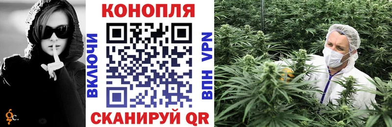 Шишки марихуана индика  где купить   Суздаль 
